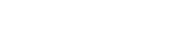 logo light